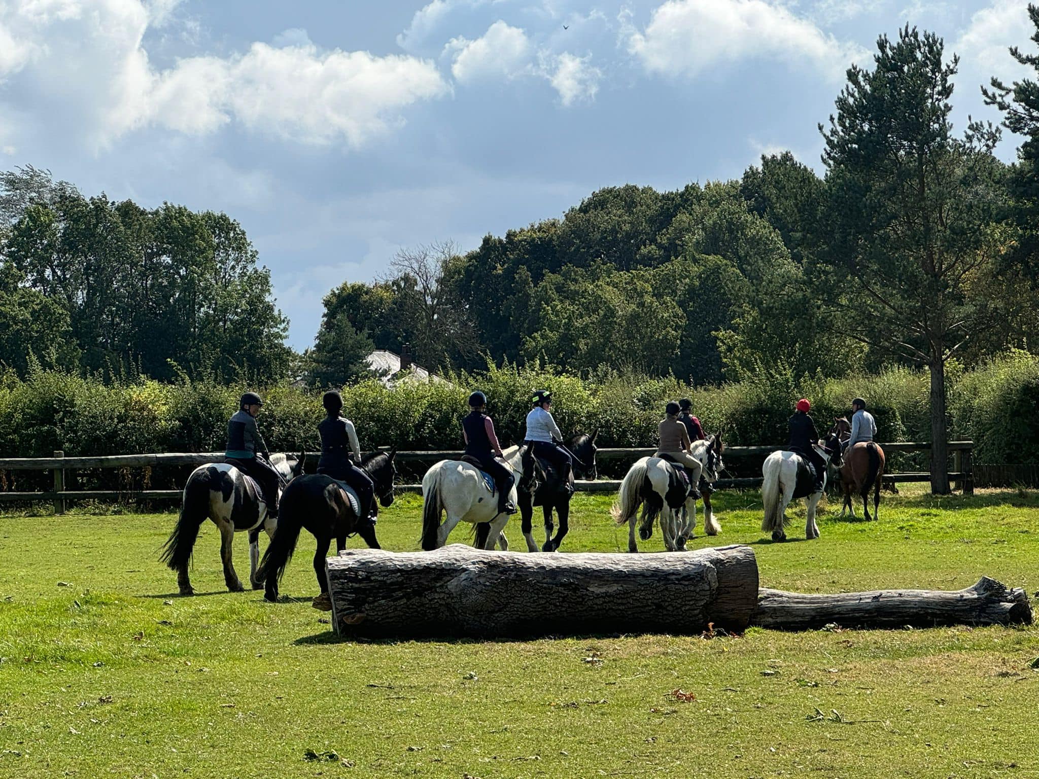 Contact Follifoot Park Riding Centre Near Harrogate contact-follifoot-park-riding-centre-near-harrogate