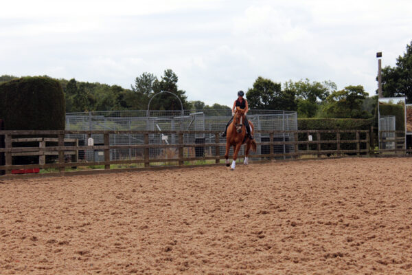 follifoot-riding-centre-A--014