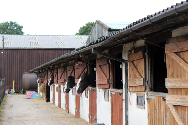 follifoot-riding-centre-A--021