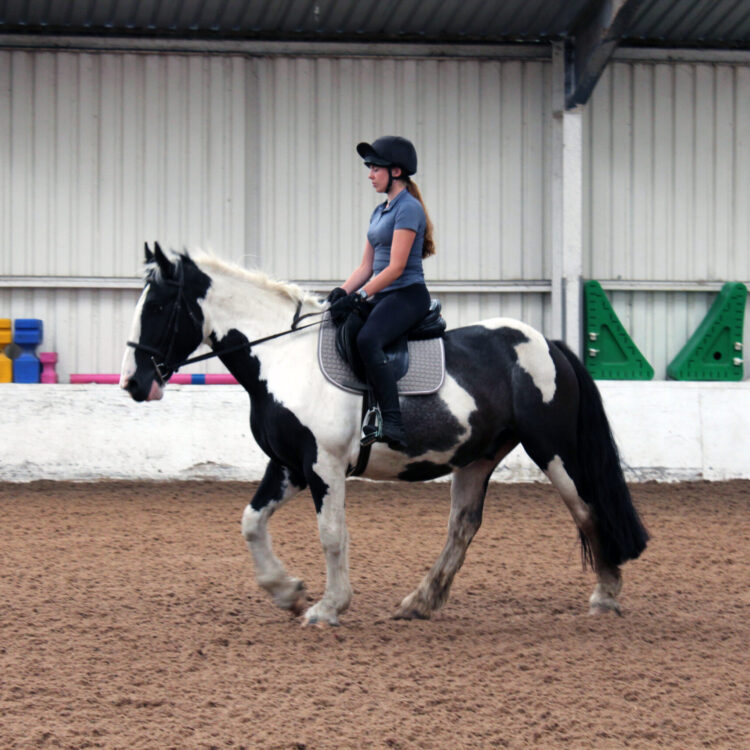 follifoot-riding-centre-A--058 follifoot-riding-centre-A--058